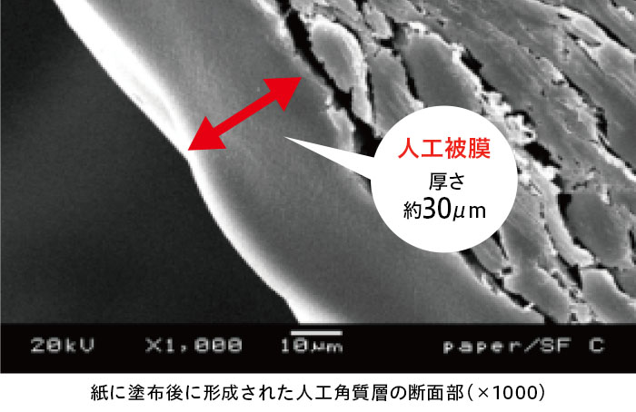 ベタ付き感なし、外部の刺激から守る約30µmの被膜を形成します。