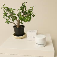 ナチュラルベラジェリー